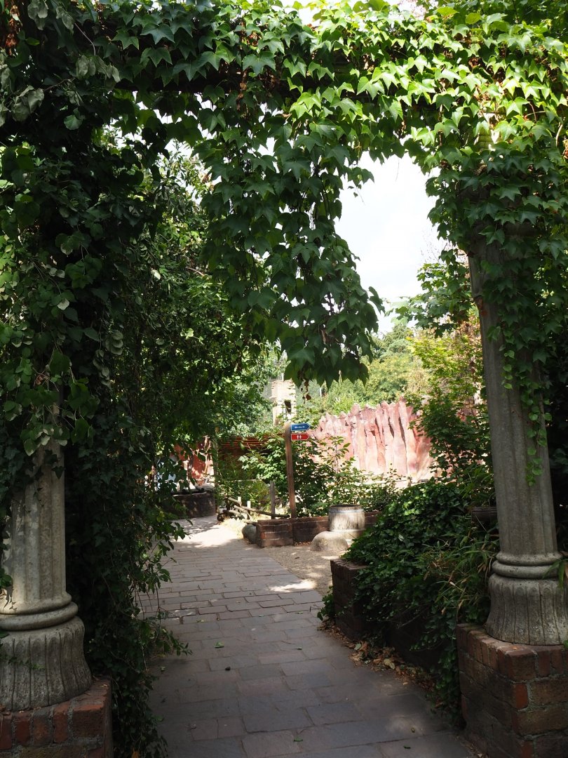 Overgrown column arch
