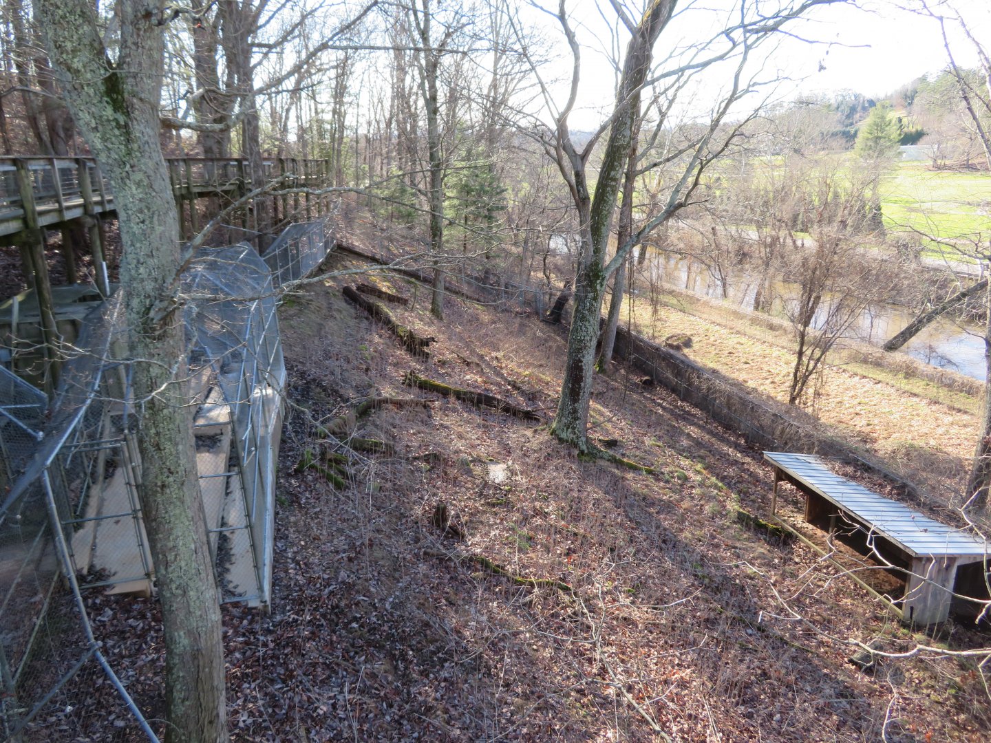 Overgrown White-tailed Deer Enclosure