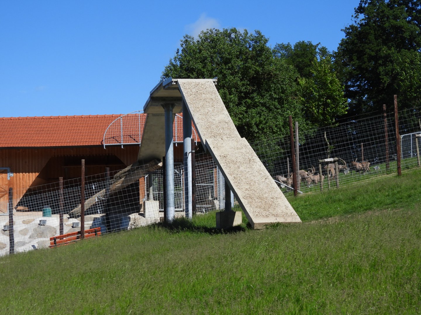 Overhead bridge for alpine ibex - Wildpark Hochriess