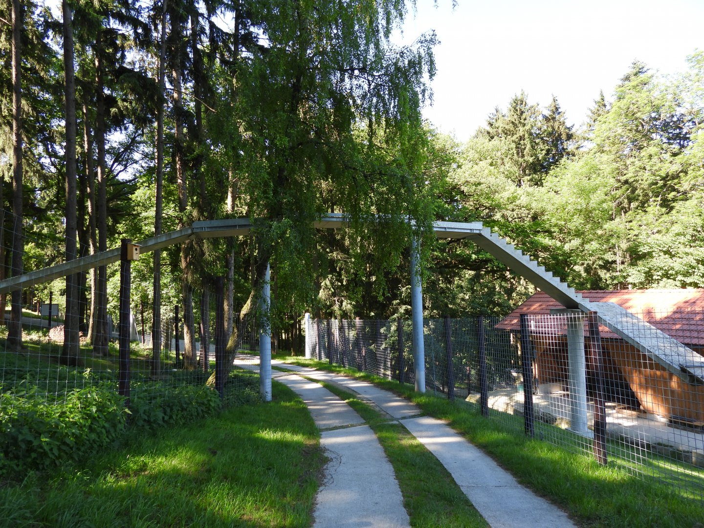 Overhead bridge for chamois - Wildpark Hochriess