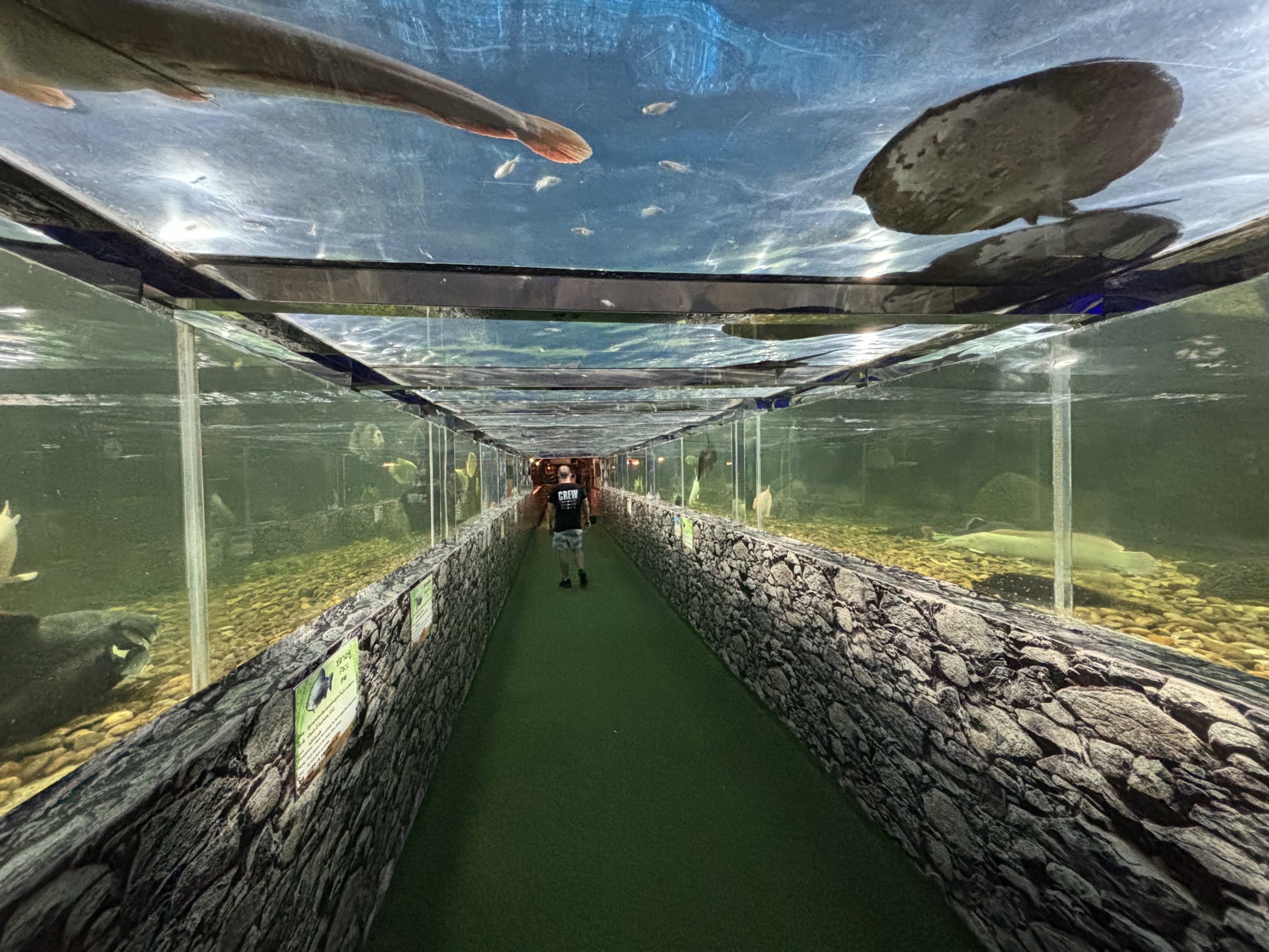 Overhead River Tanks