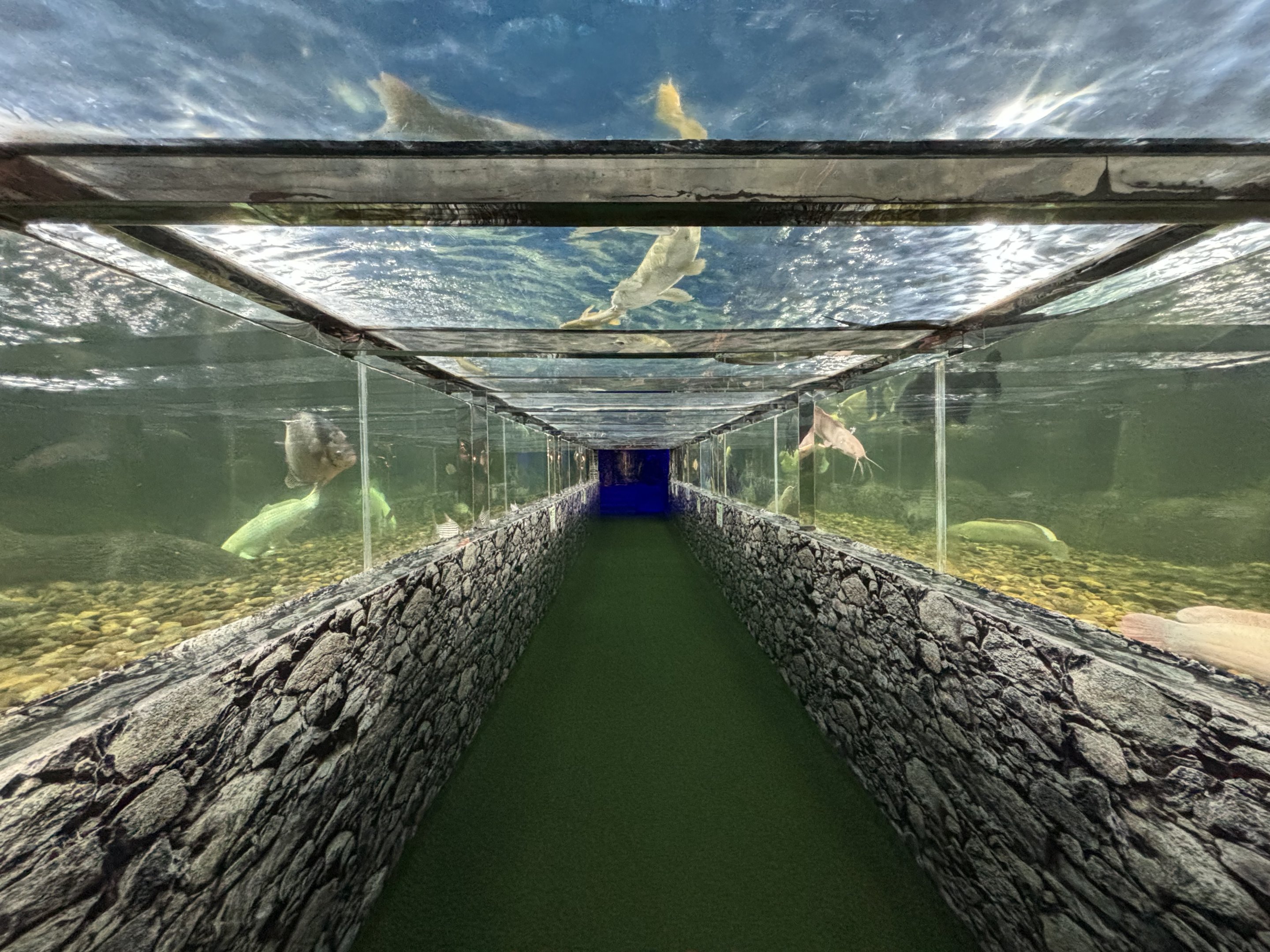 Overhead River Tanks