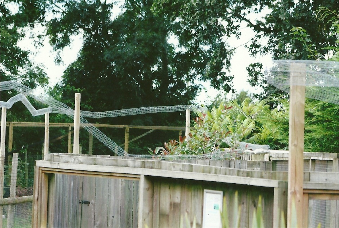 Overhead runs 11th September 2012