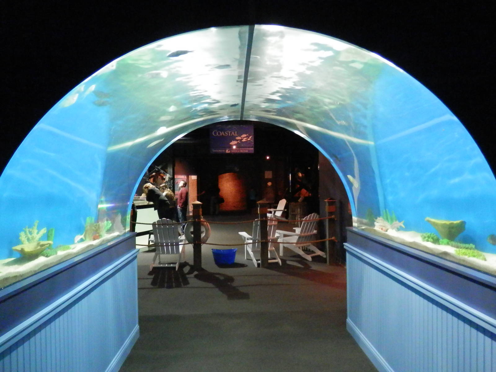 Overhead tank leading from the Weird and Wonderful tunnel into the Coastal