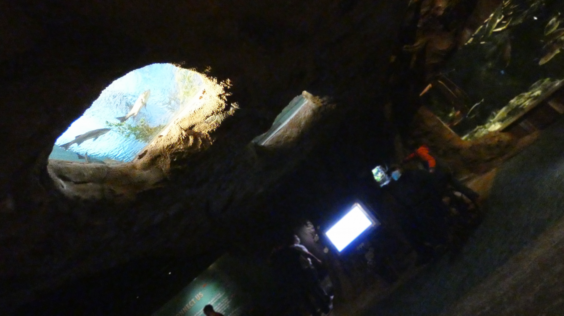 Overhead Tanks, Confluence Gallery - Mar. 2022