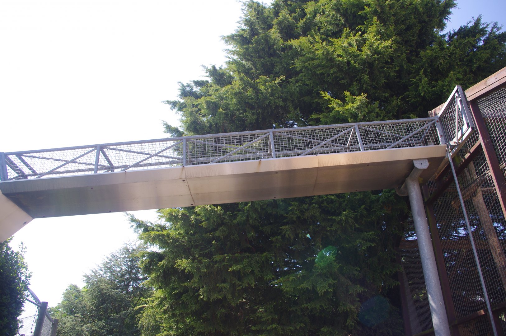 Overhead tunnel- 3/6/2022