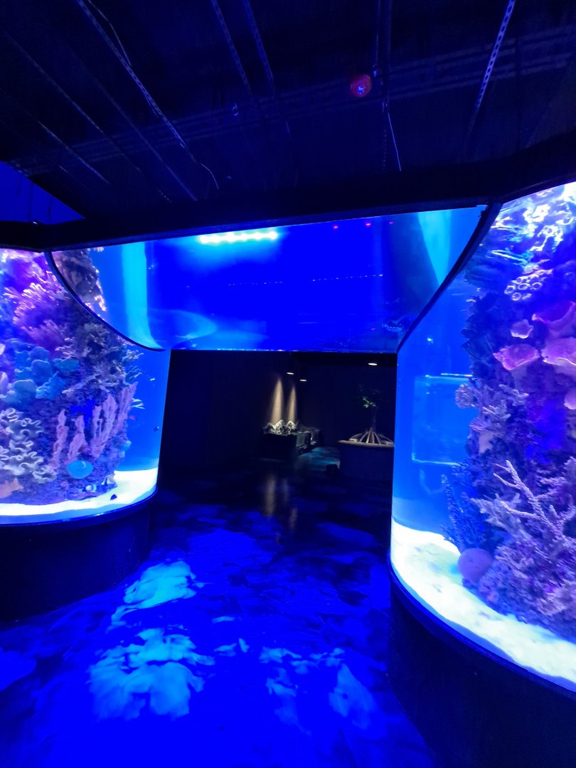 Overhead Tunnel Arch (4/19/25)