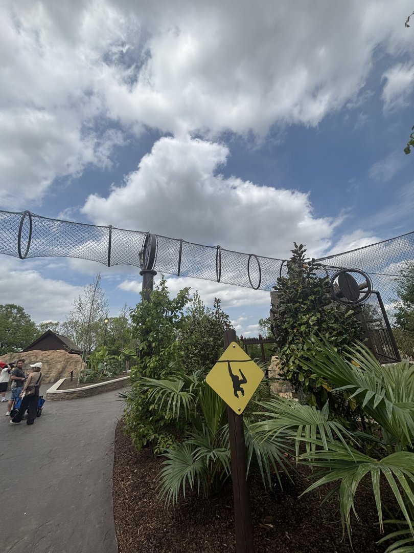 Overhead tunnel for Siamang Gibbons