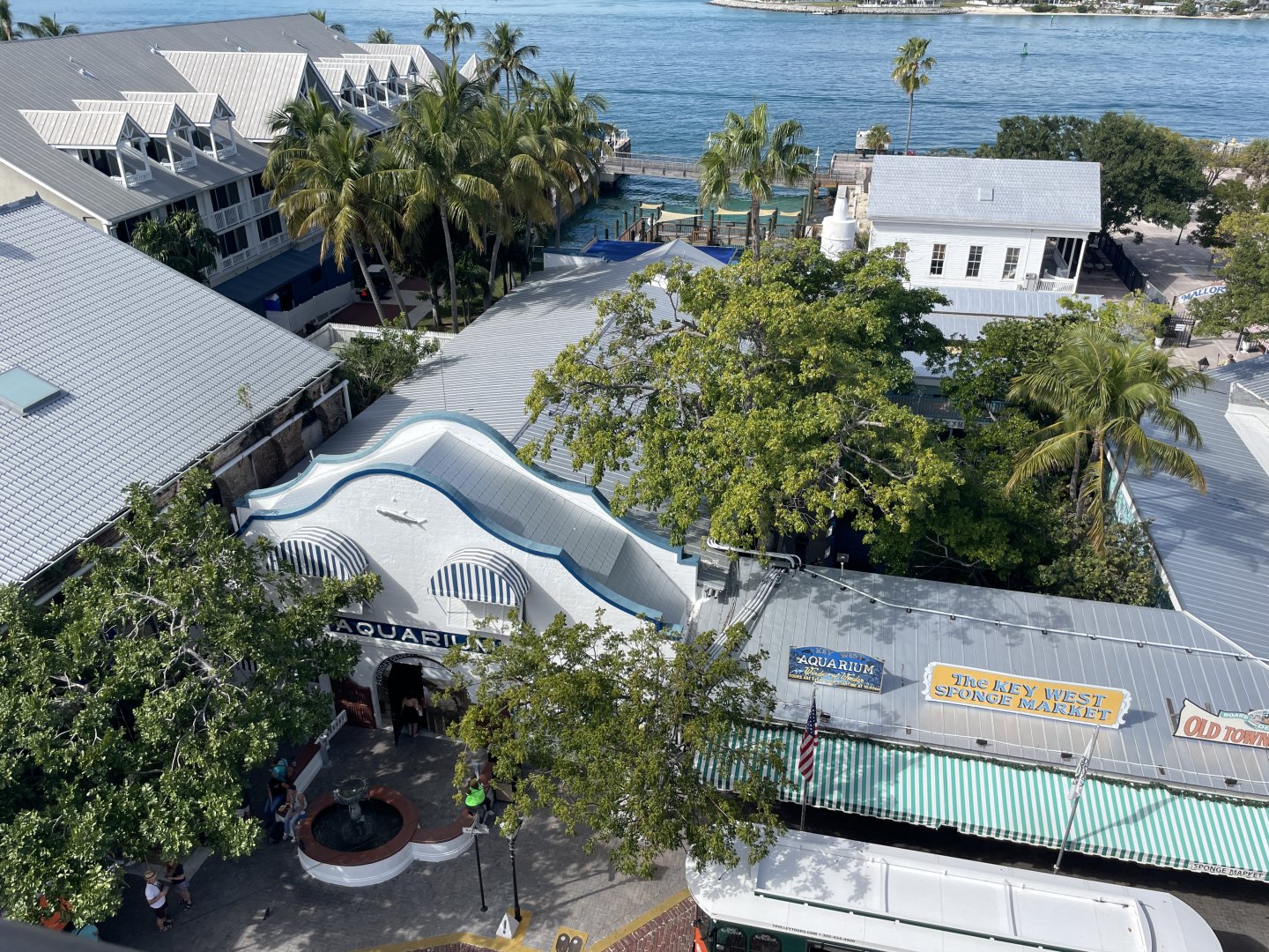Overhead view of aquarium (1/2/24)