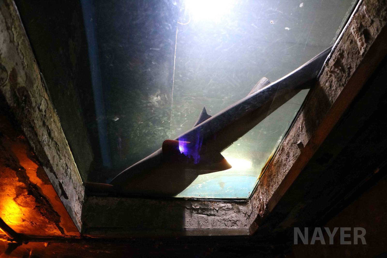 Overhead window, April 2016