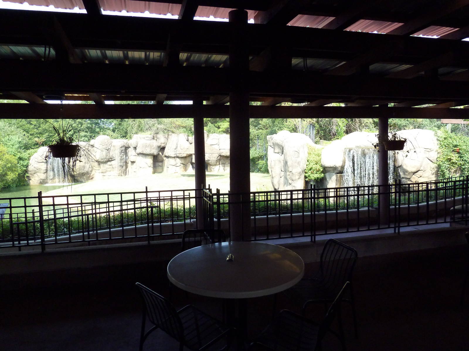 Overlook Cafe - Lion Exhibit