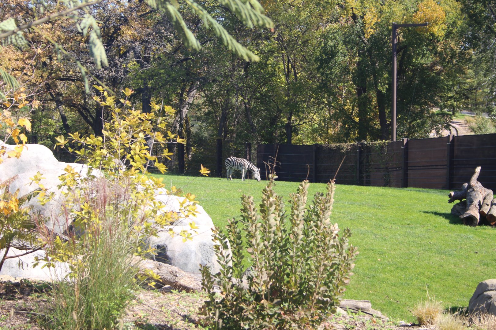 Overlook from African Lodge