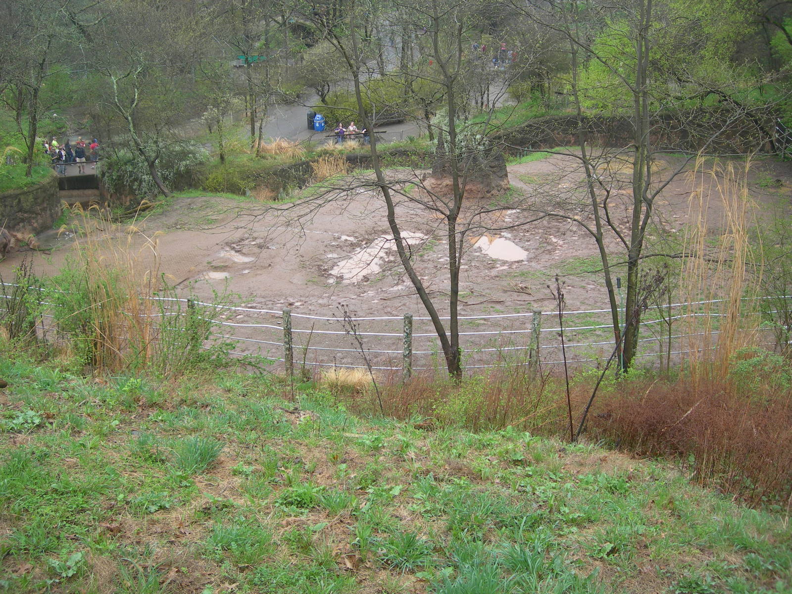 Overlook of the Black Rhino Exhibit
