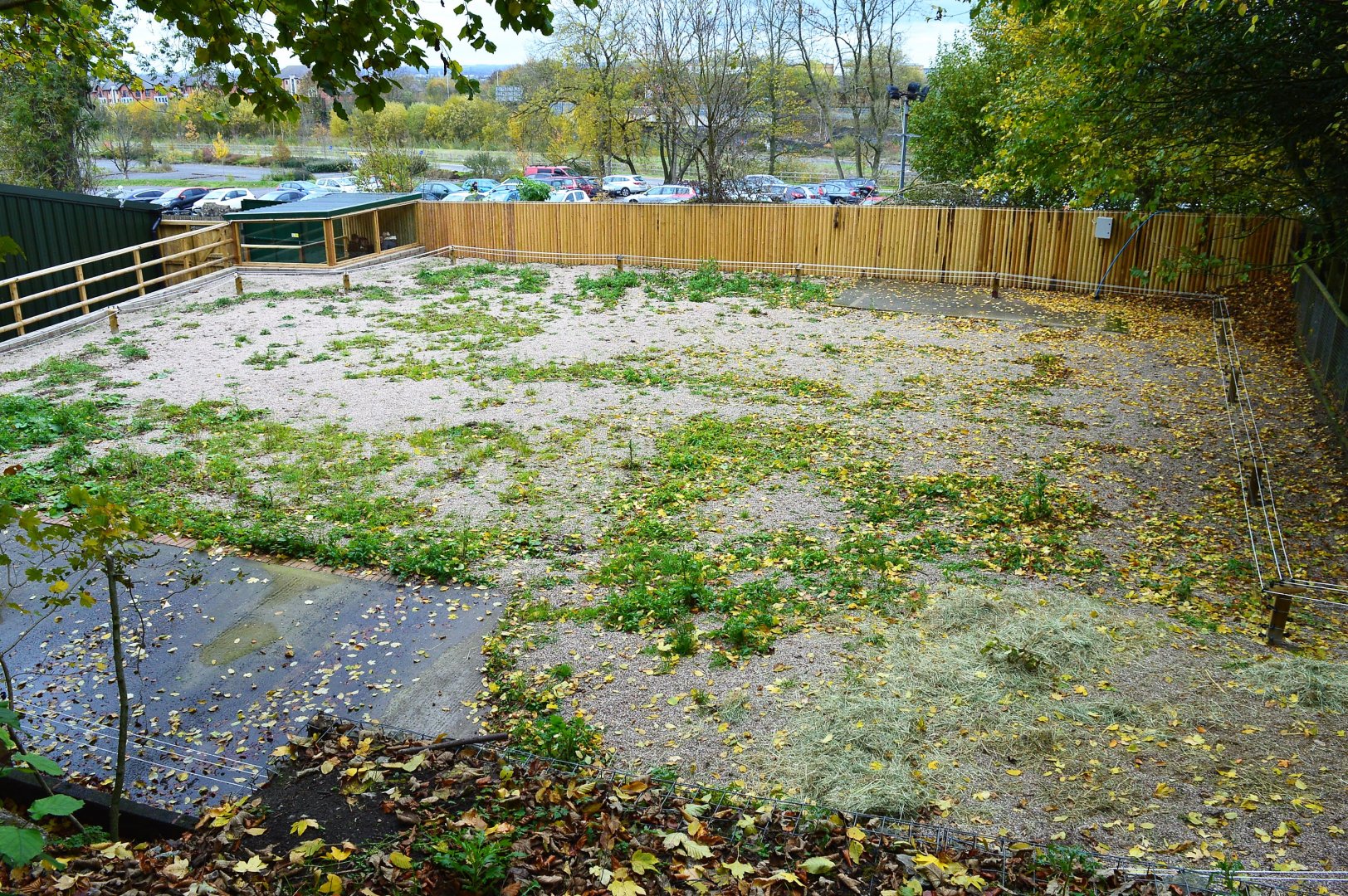 Overlooking new camel paddock extension