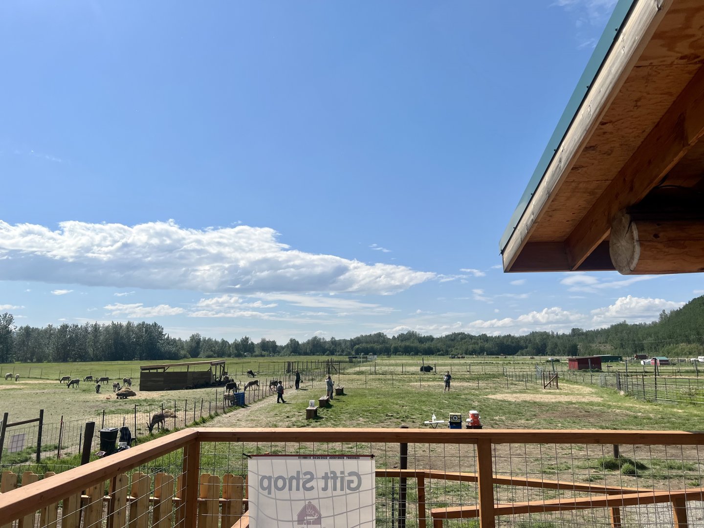 Overlooking Reindeer Pasture from Gift Shop