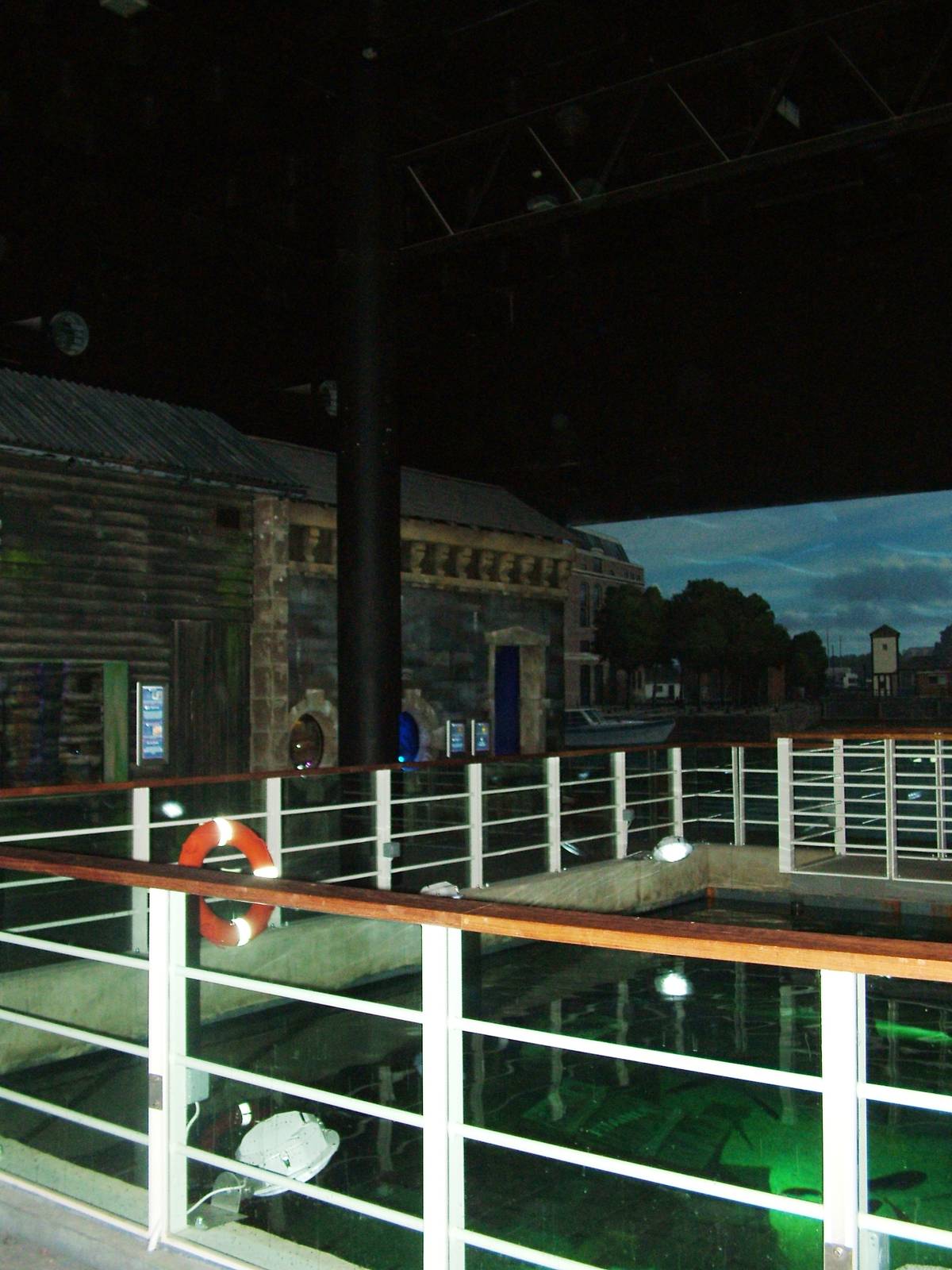 Overlooking the native marine display at Blue Reef Bristol 19/12/09