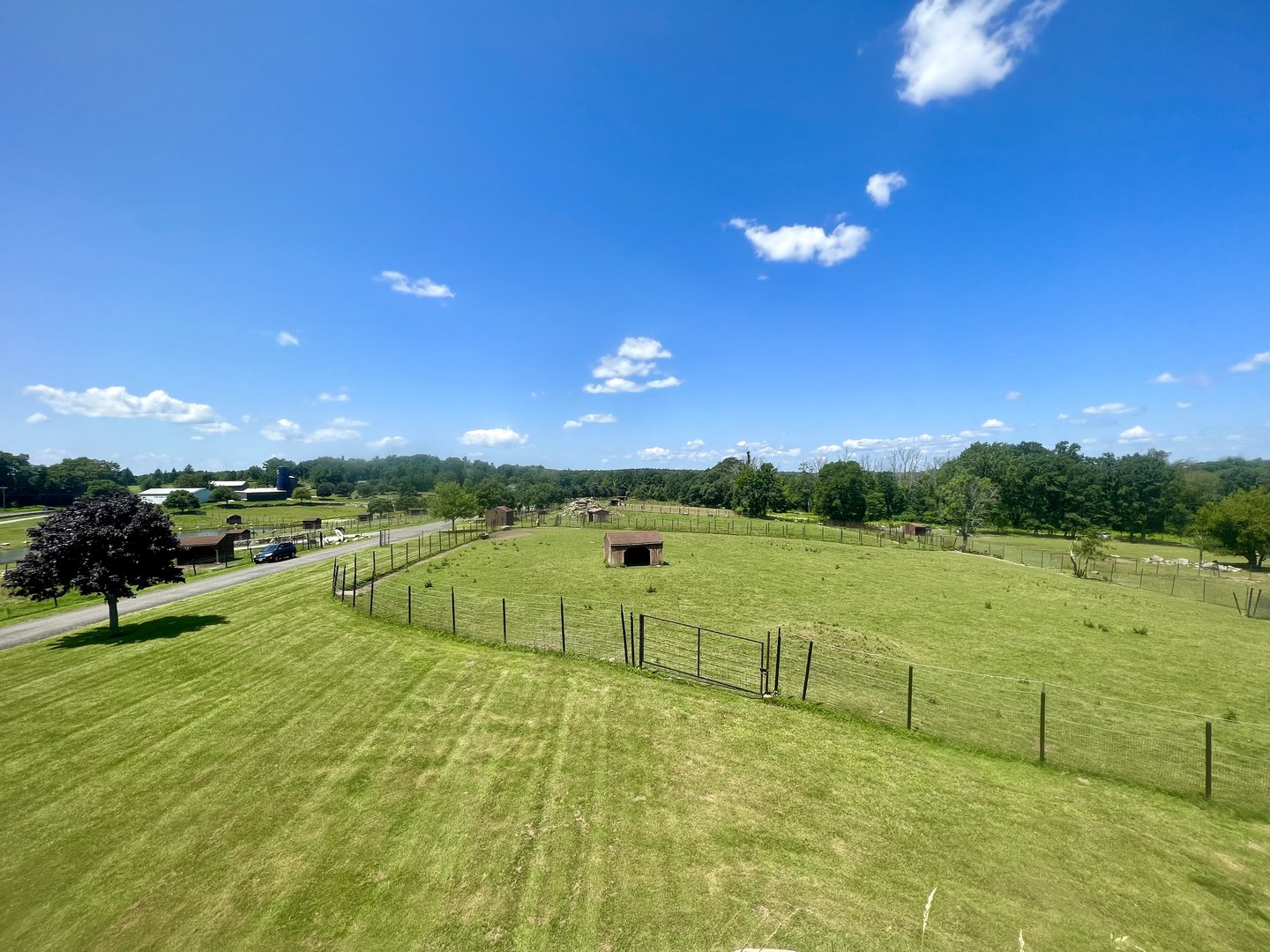 Overlooking the park