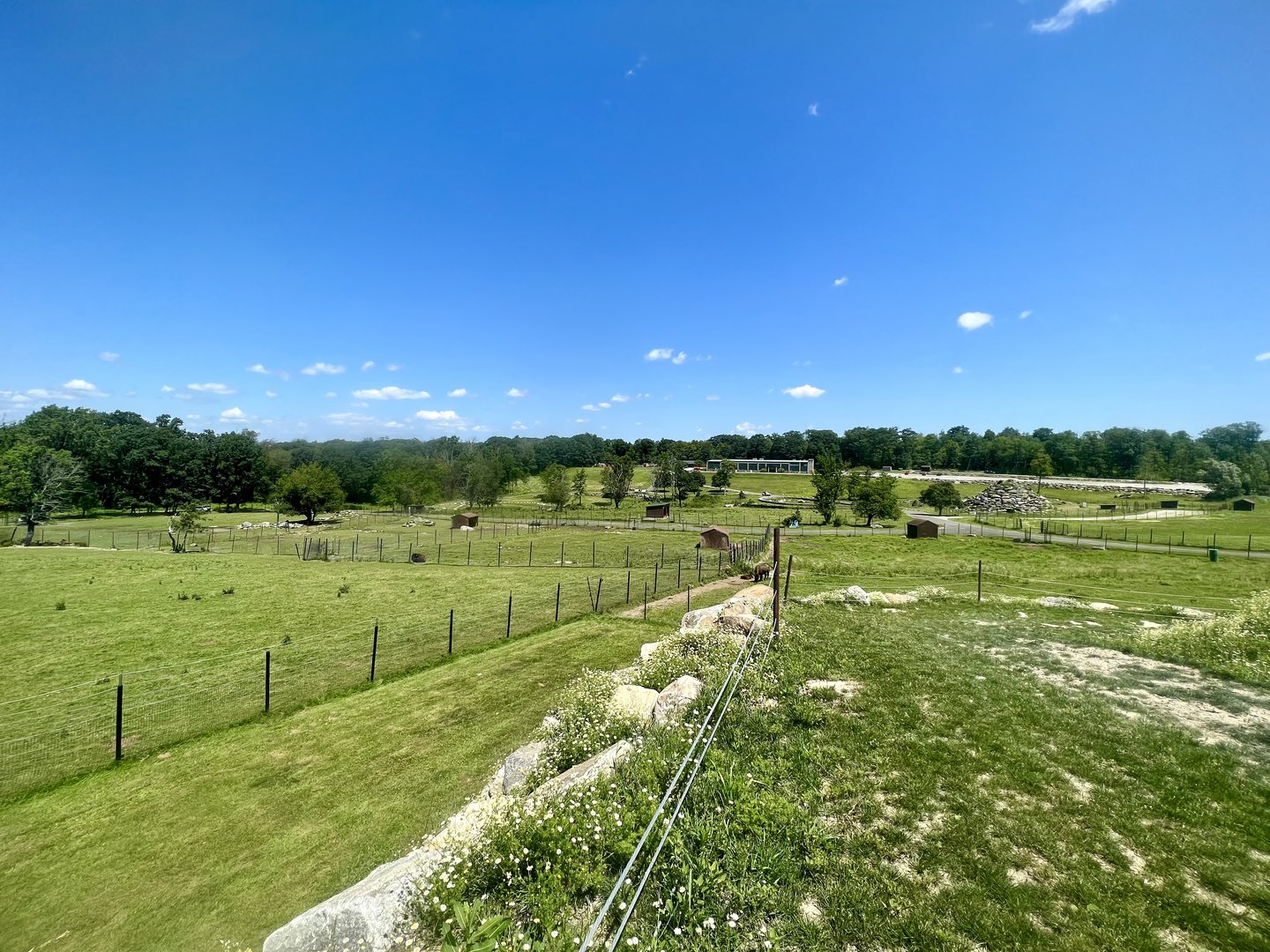 Overlooking the park