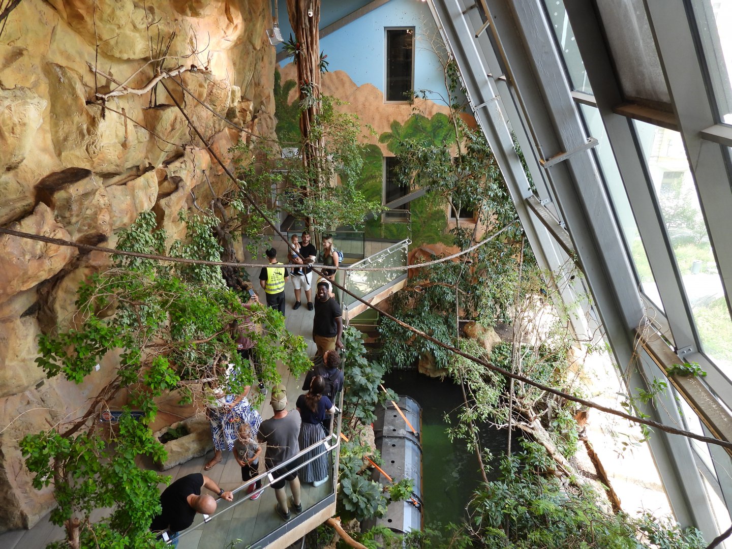 Overview crocodile park