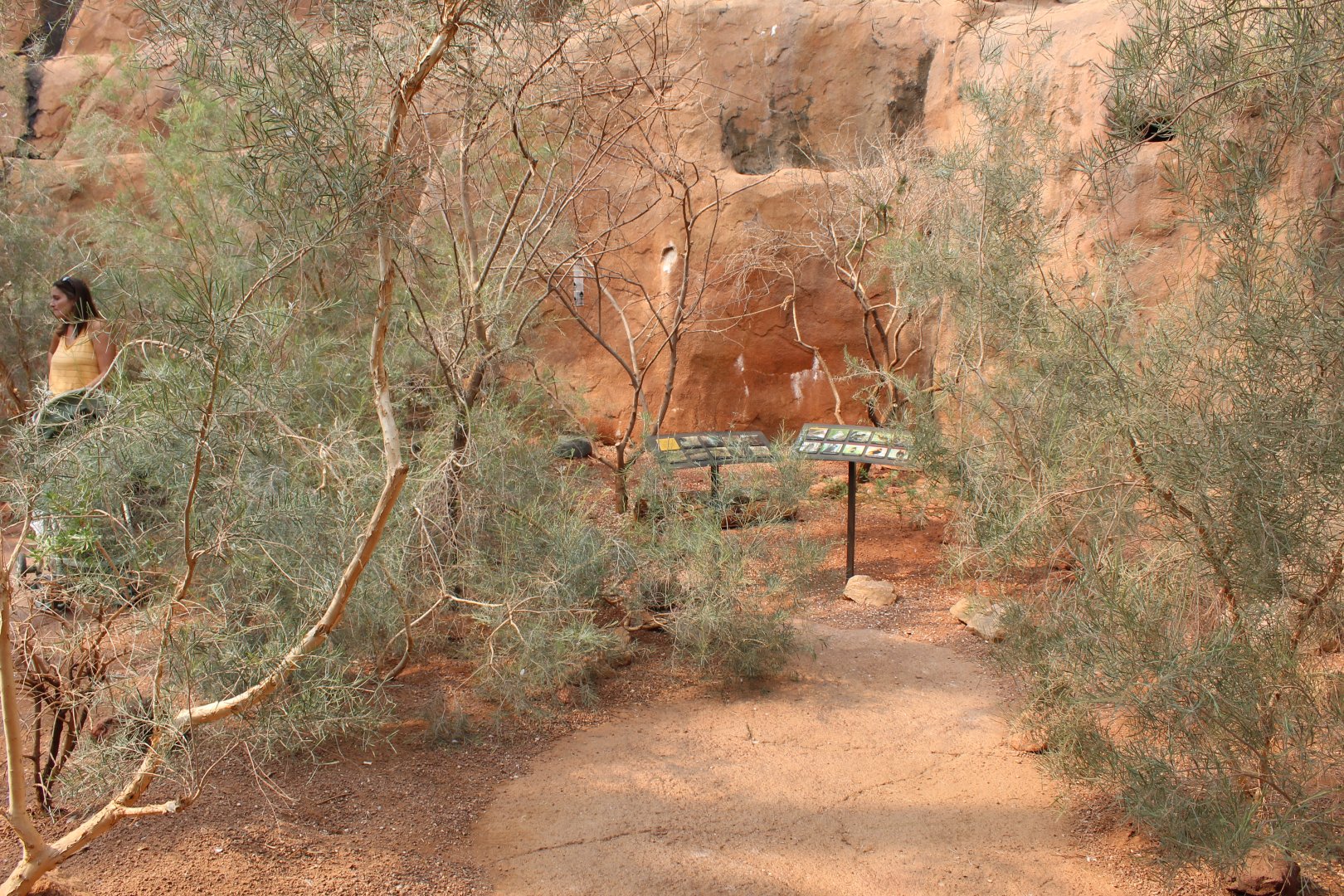 Overview - Desert Dome