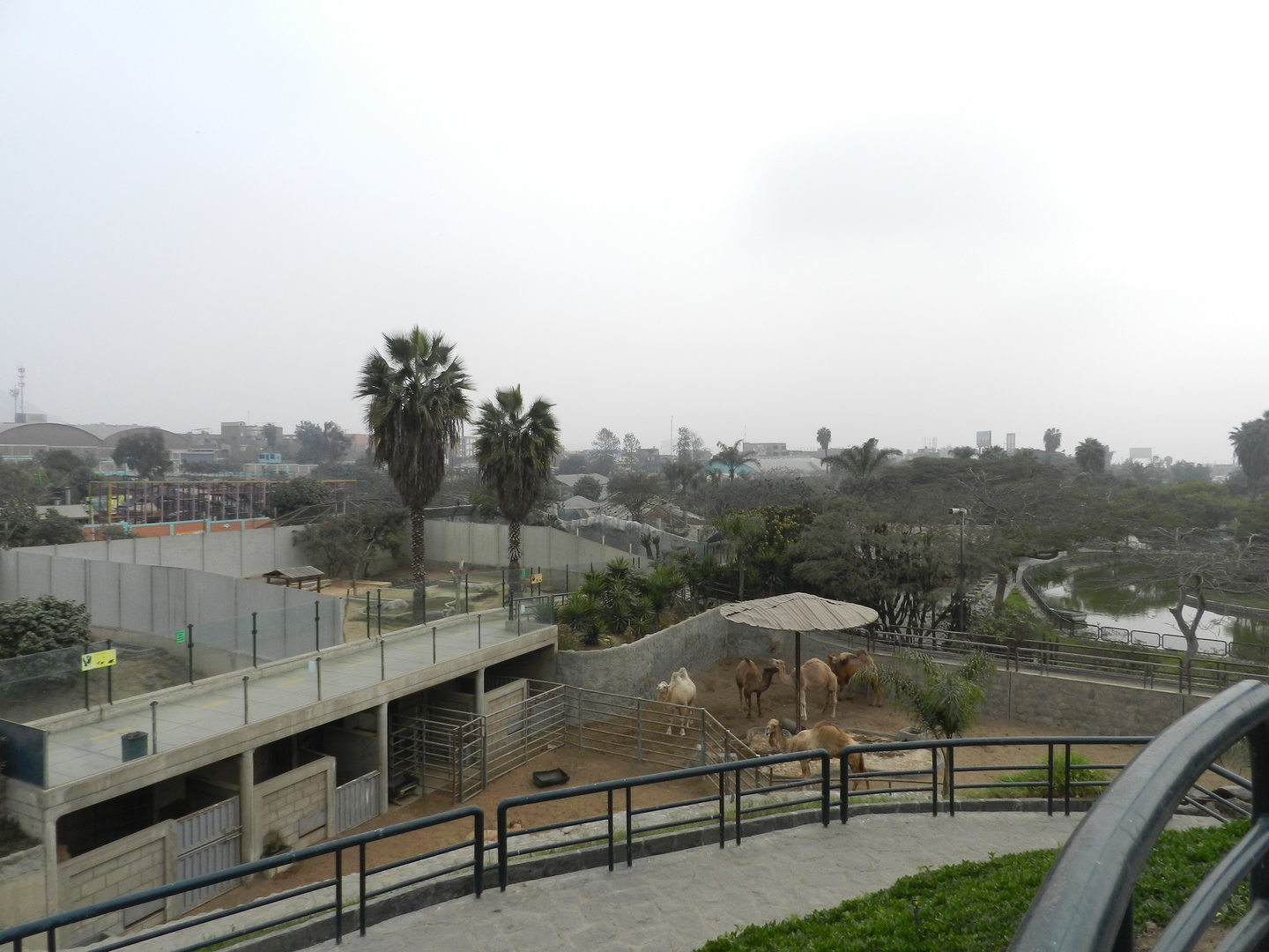 Overview from the zoo's highest point - Parque Zoológico Huachipa