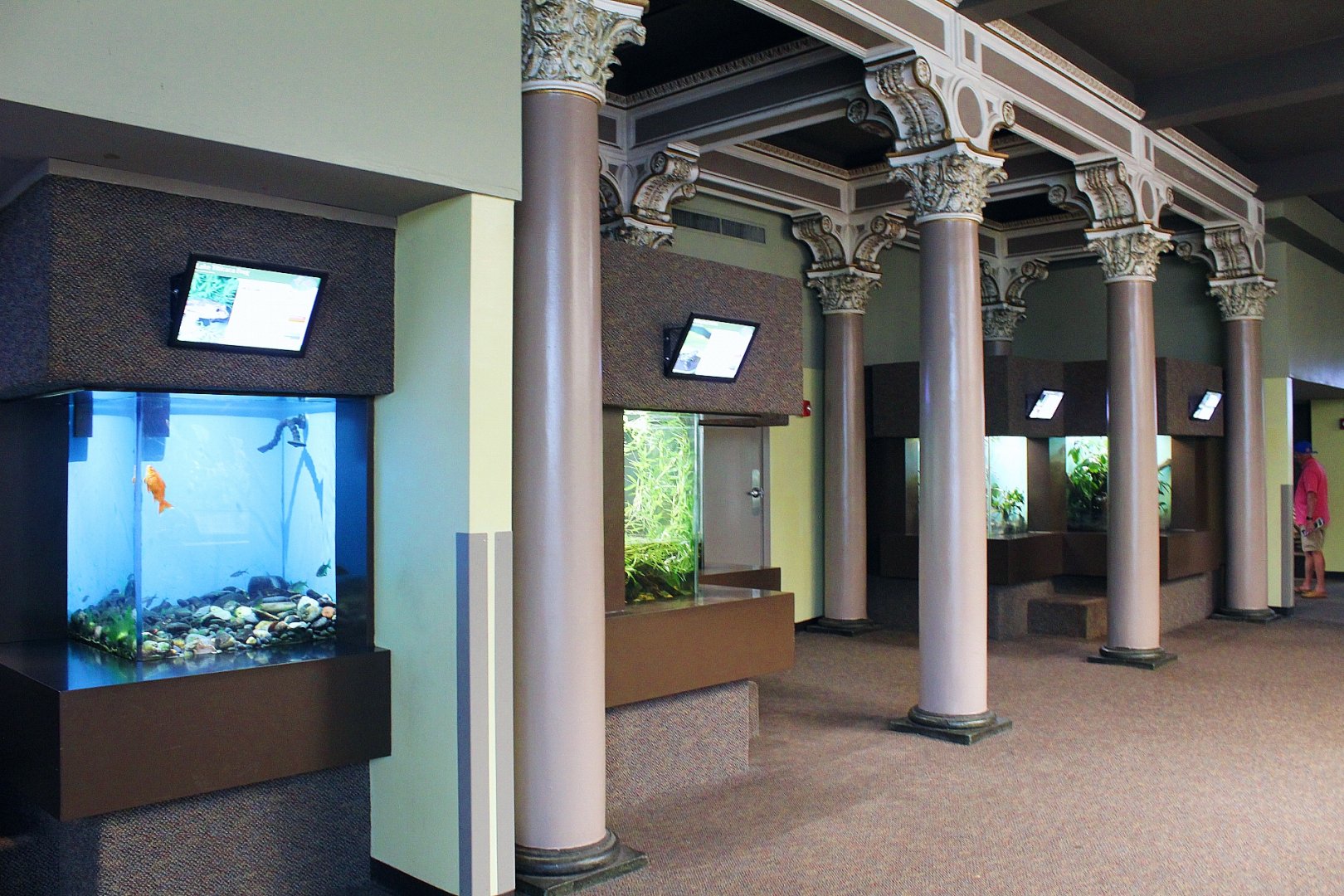 Overview - Herpetarium