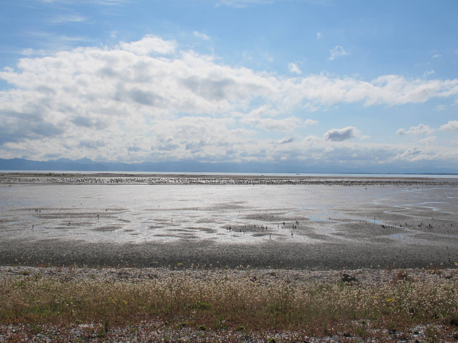 Overview - Miranda 2012