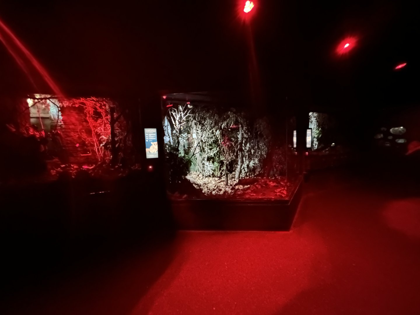 Overview - Night Life