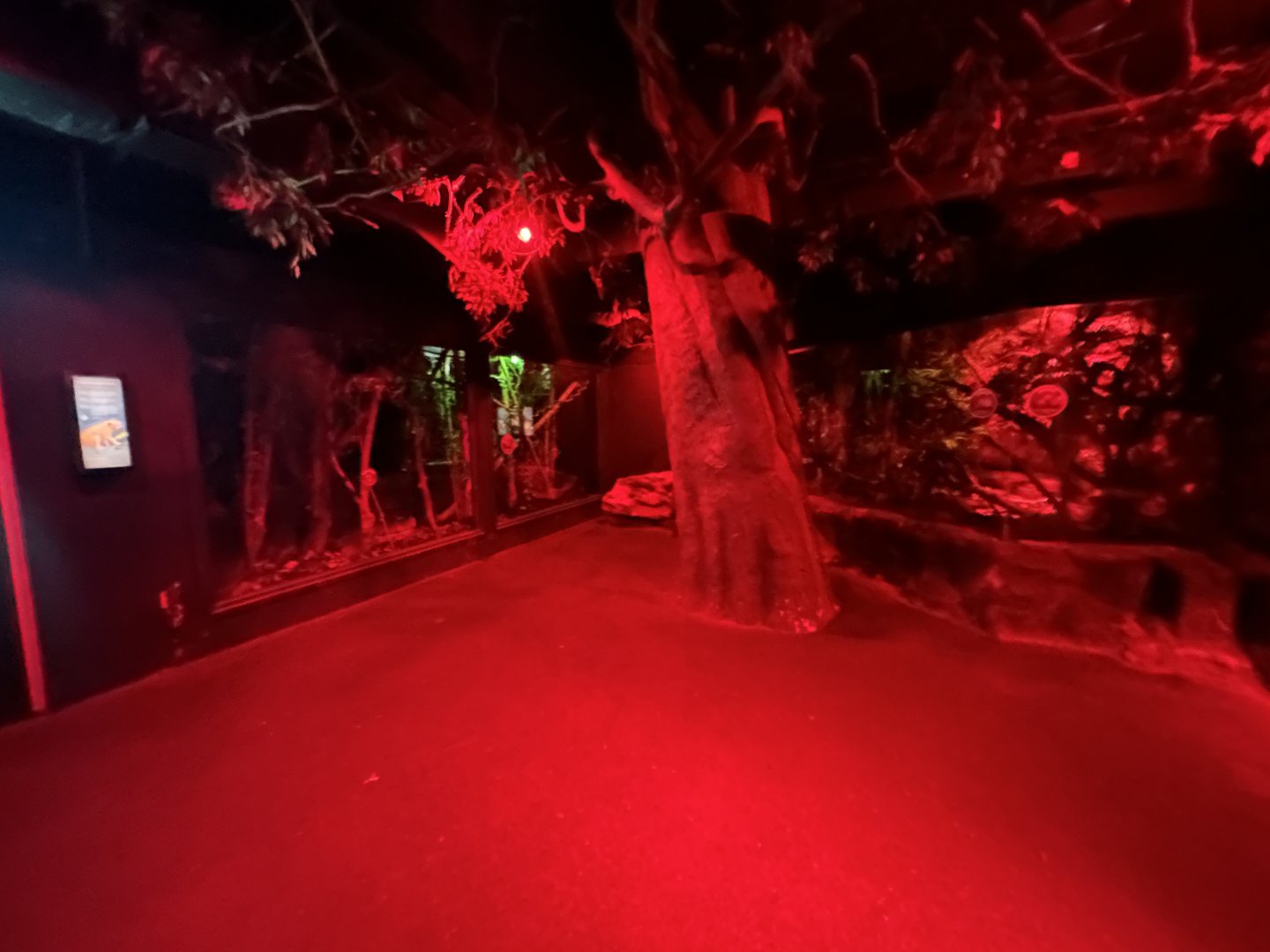 Overview - Night Life