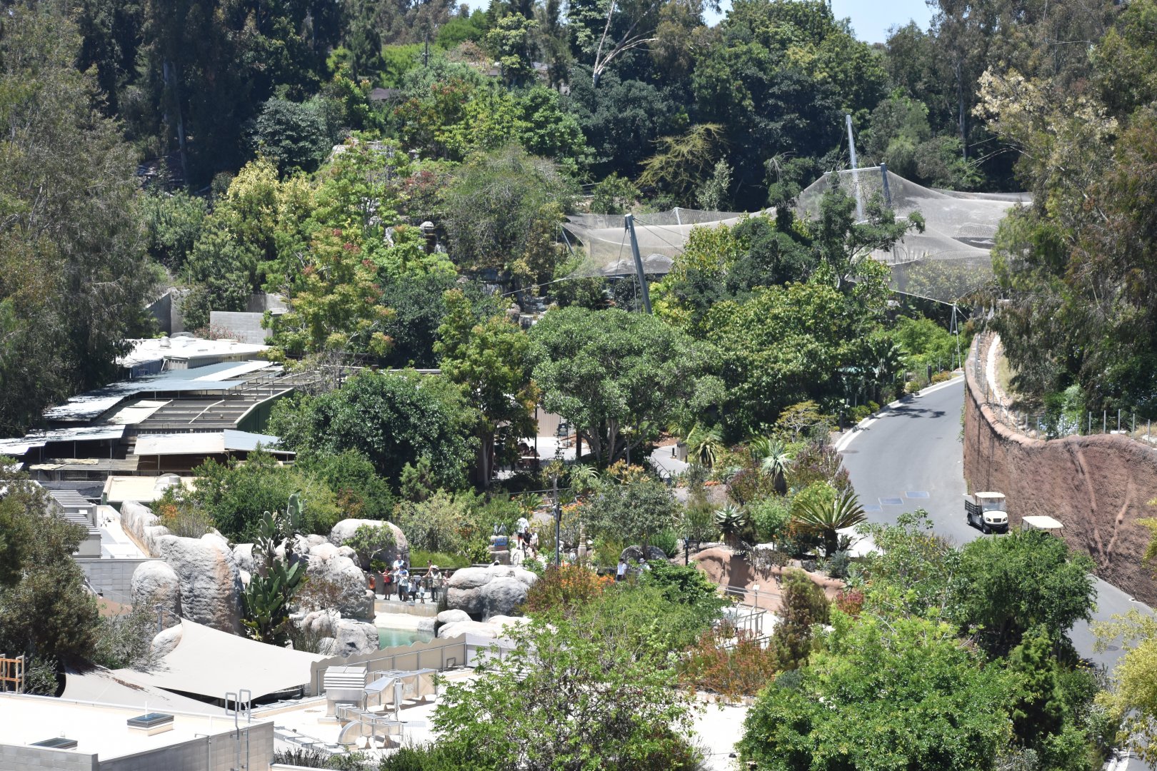 Overview of African Birds