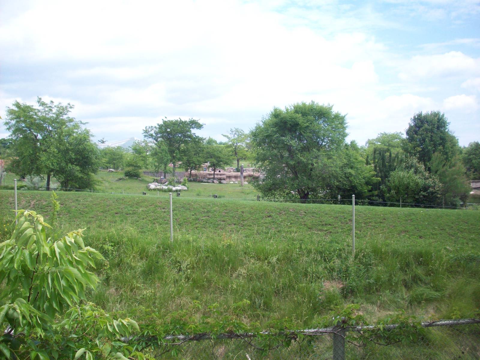 Overview of African Savanna.