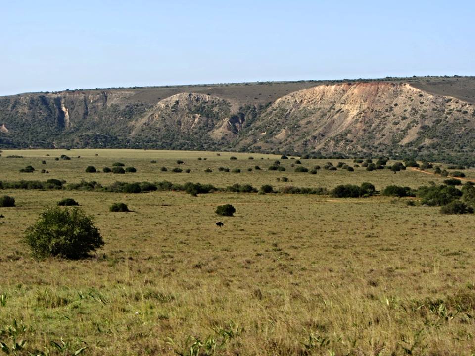 Overview of Amakhala Private Game Reserve