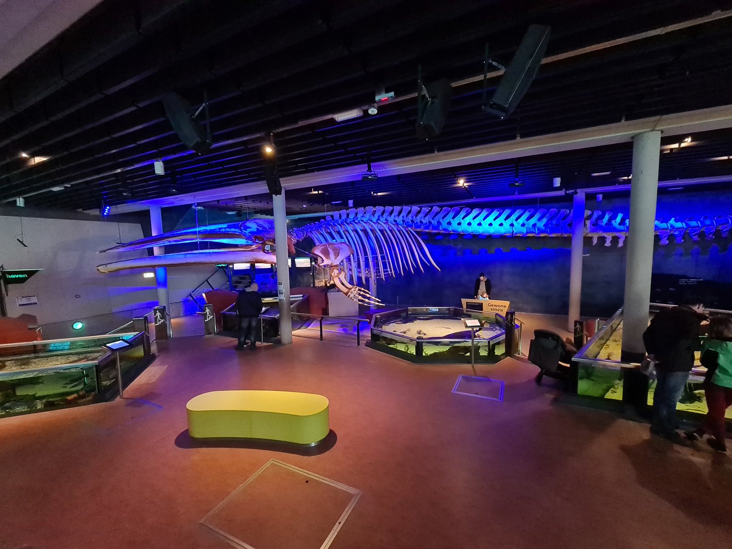 Overview of aquarium