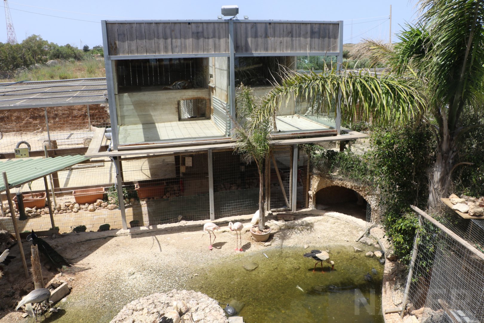 Overview of central area - Wildlife Park Malta, June 2019