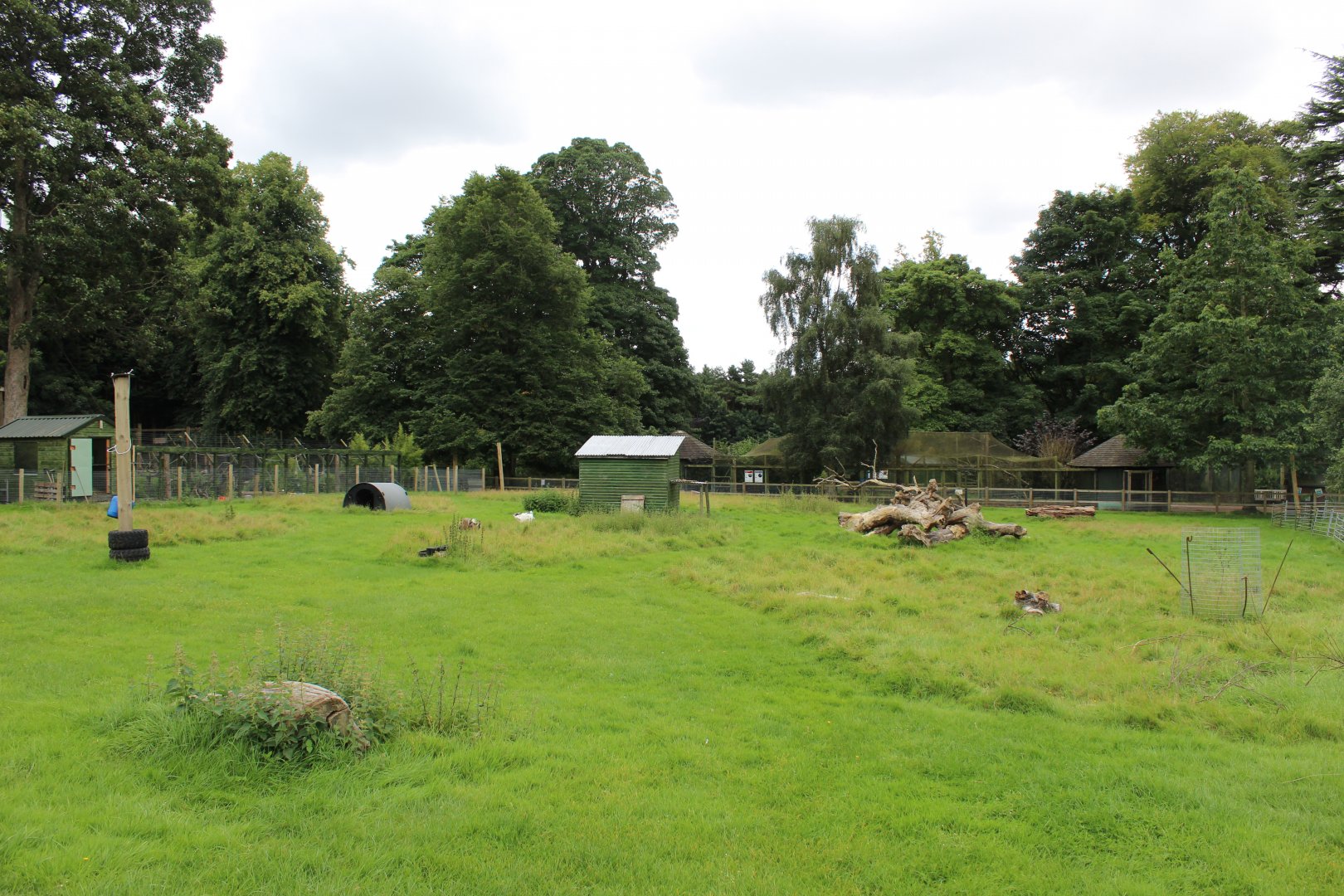 Overview of goat paddock