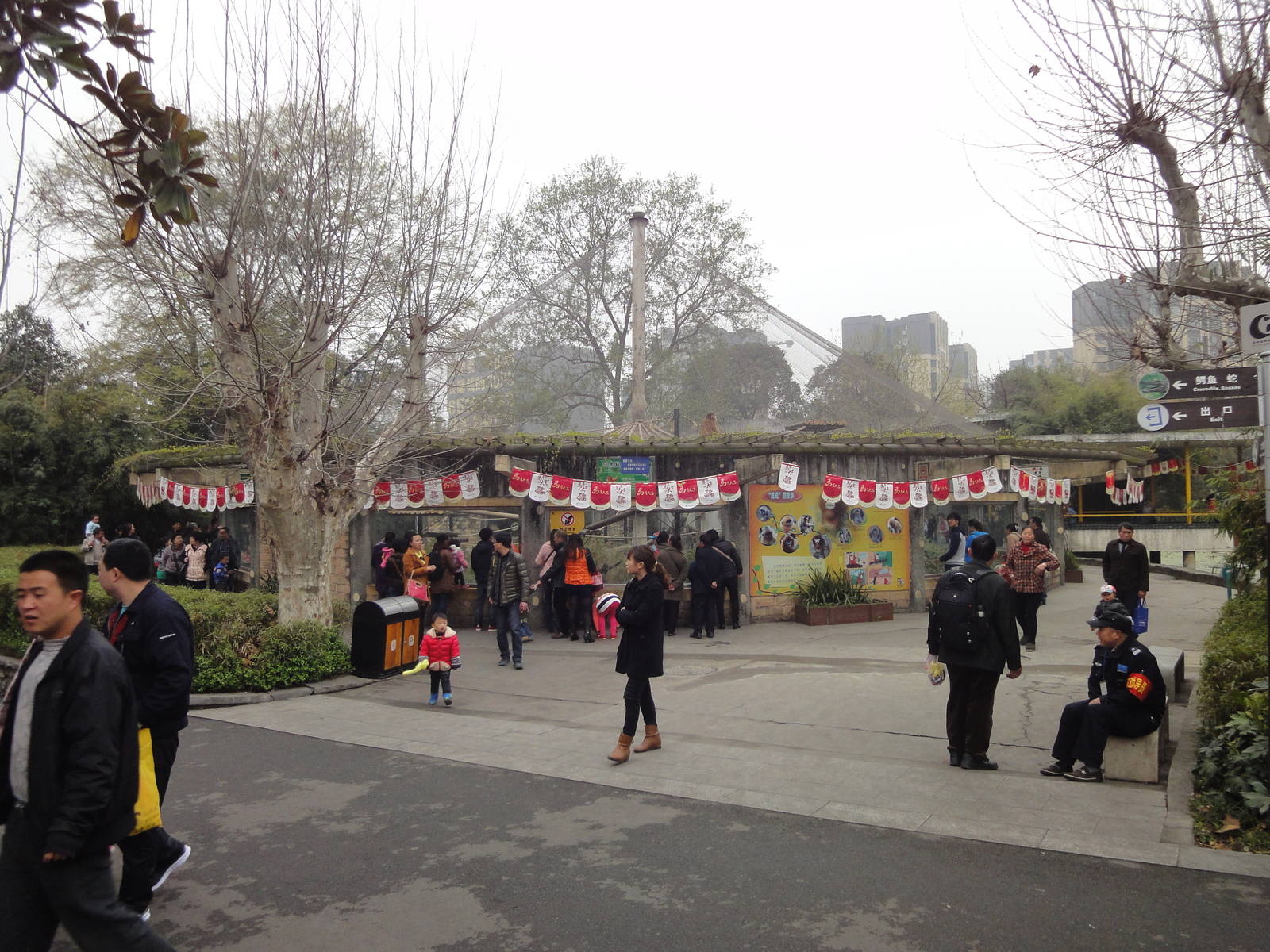 Overview of Golden Snub Nosed Monkey Exhibit