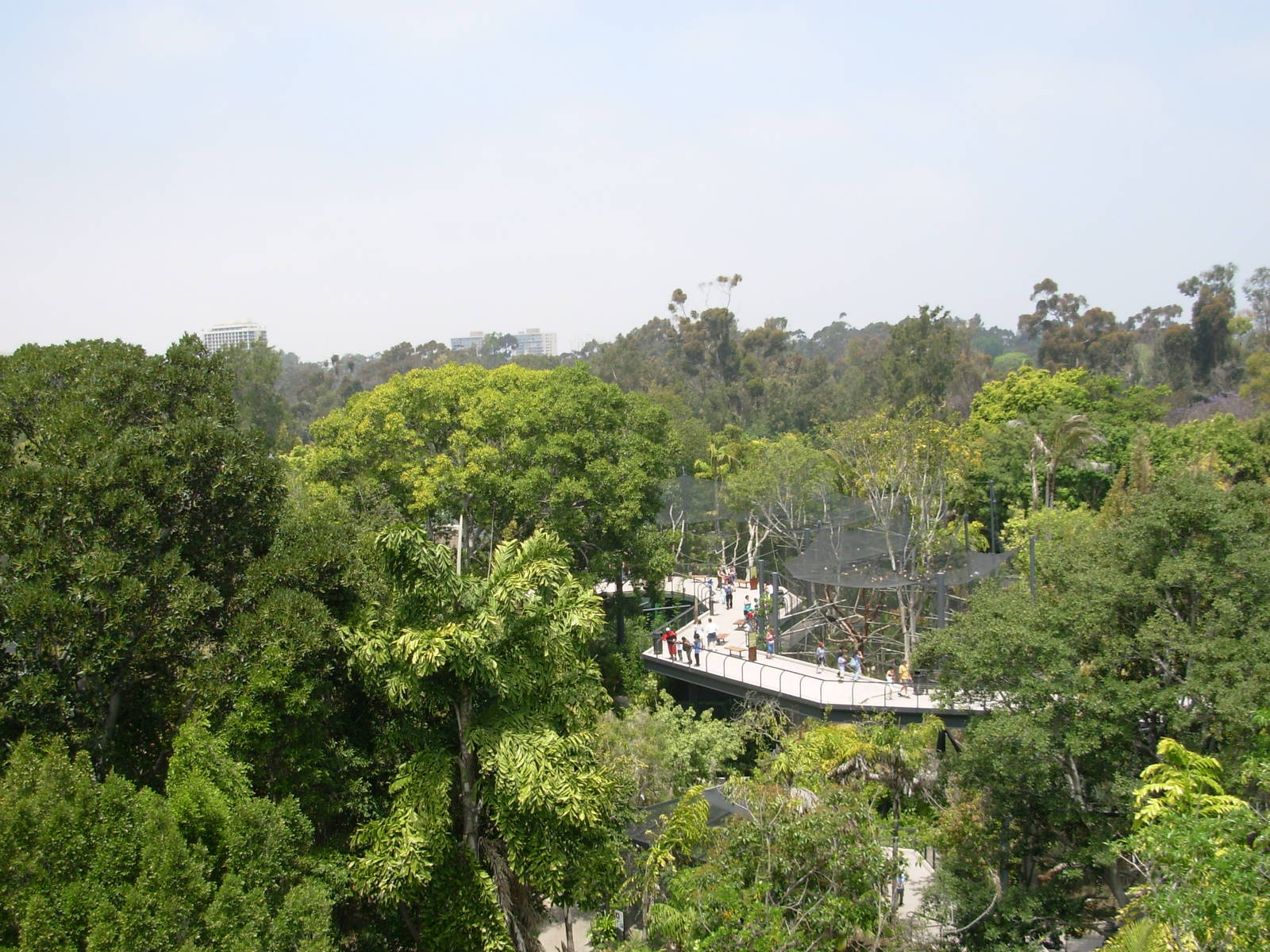 Overview of Monkey Trails Exhibits