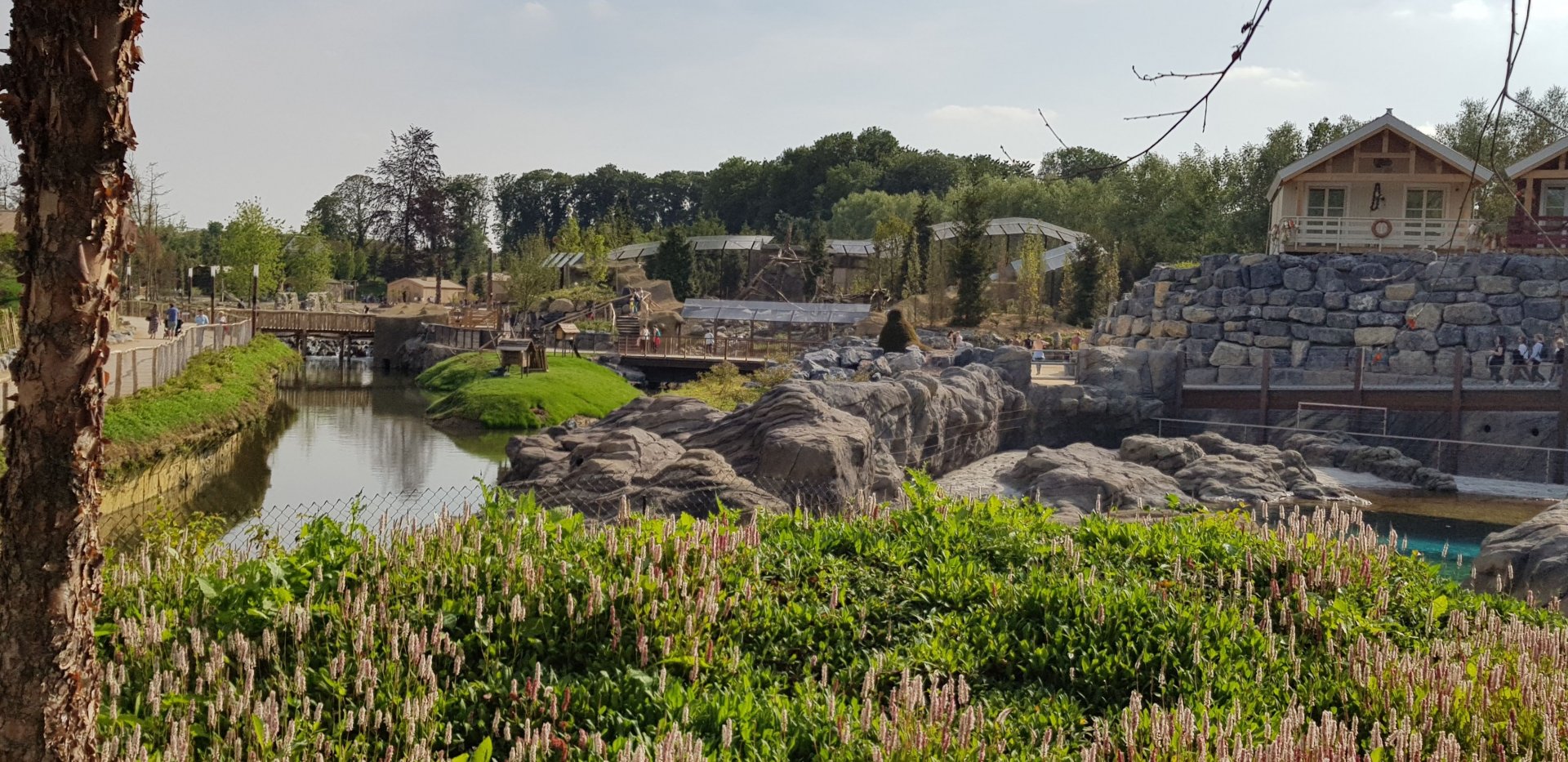 Overview of new north America area