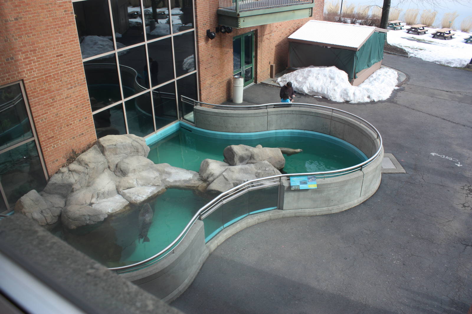 Overview of Outdoor Seal Pool