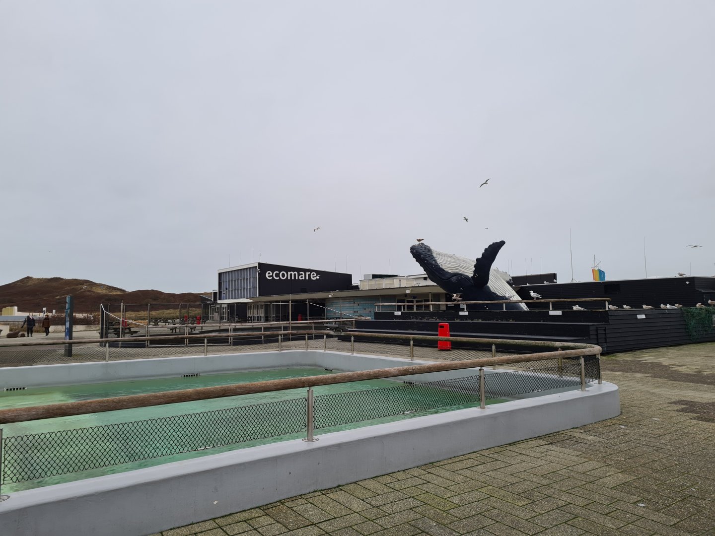 Overview of outdoor terrain