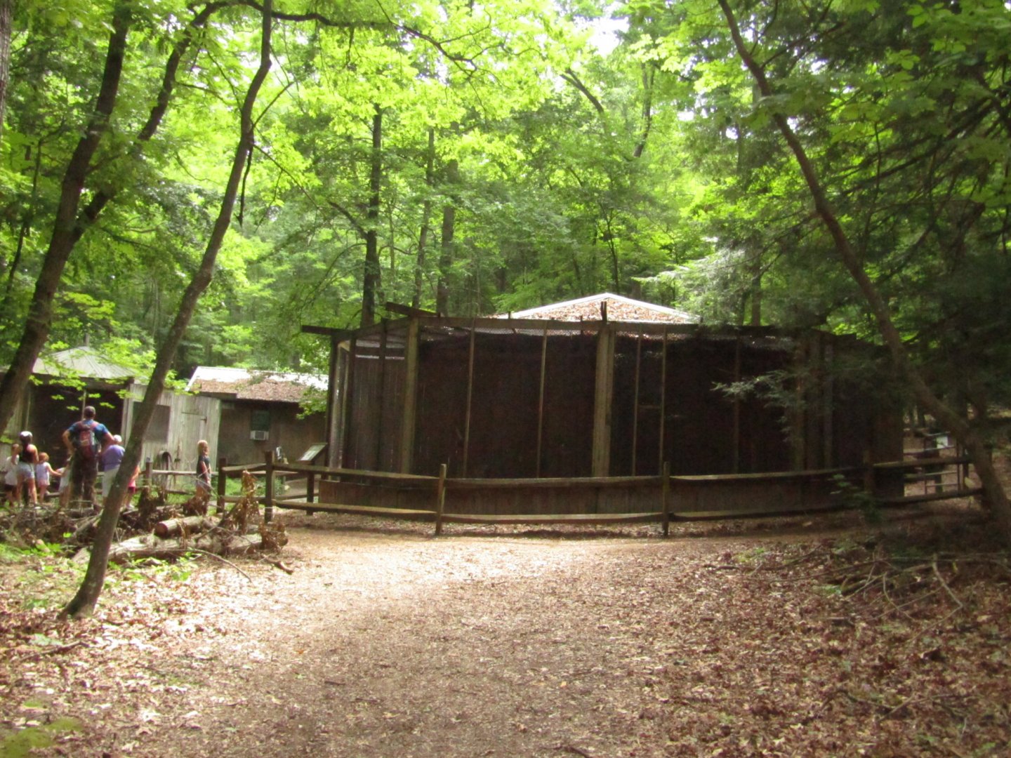 Overview of Raptor Complex