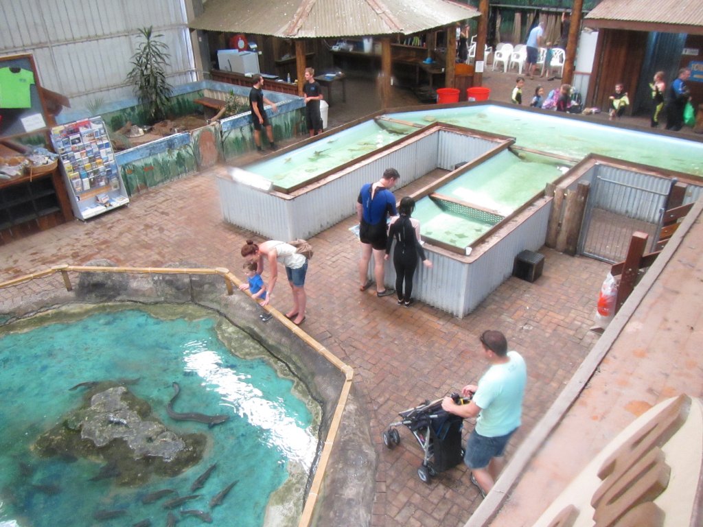 Overview of smaller tanks/pools