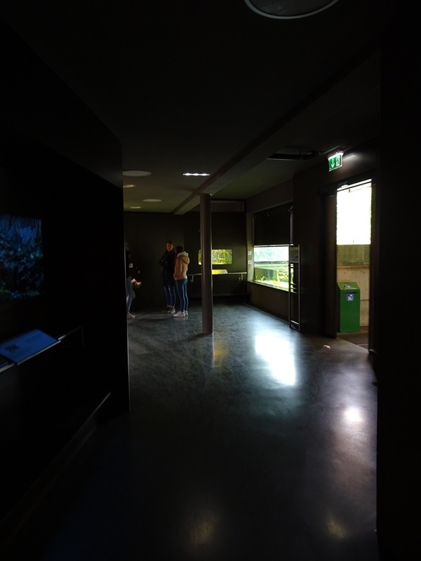 Overview of the Aqua-Terrarium