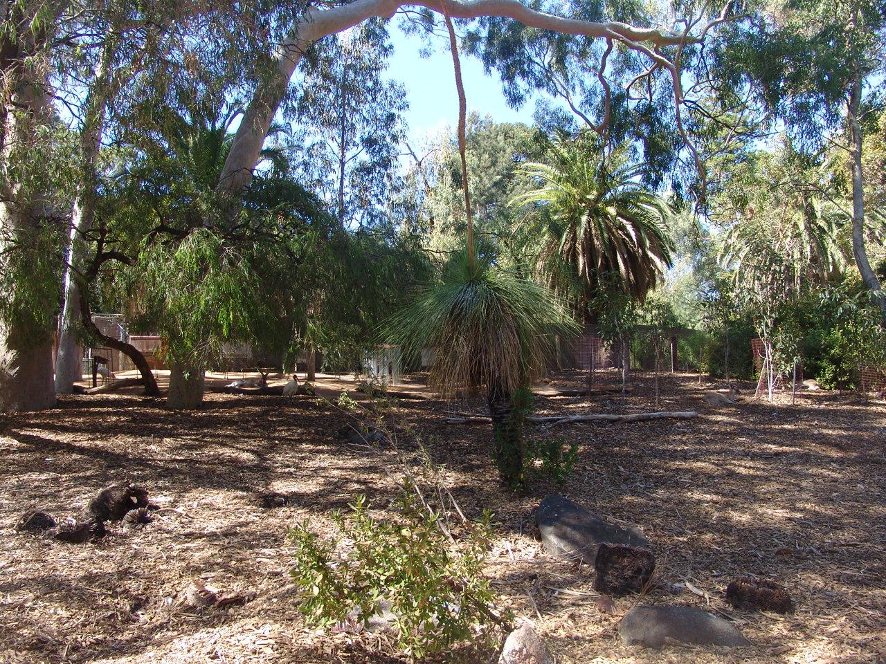 Overview of the 'Australian Bush-walk'.