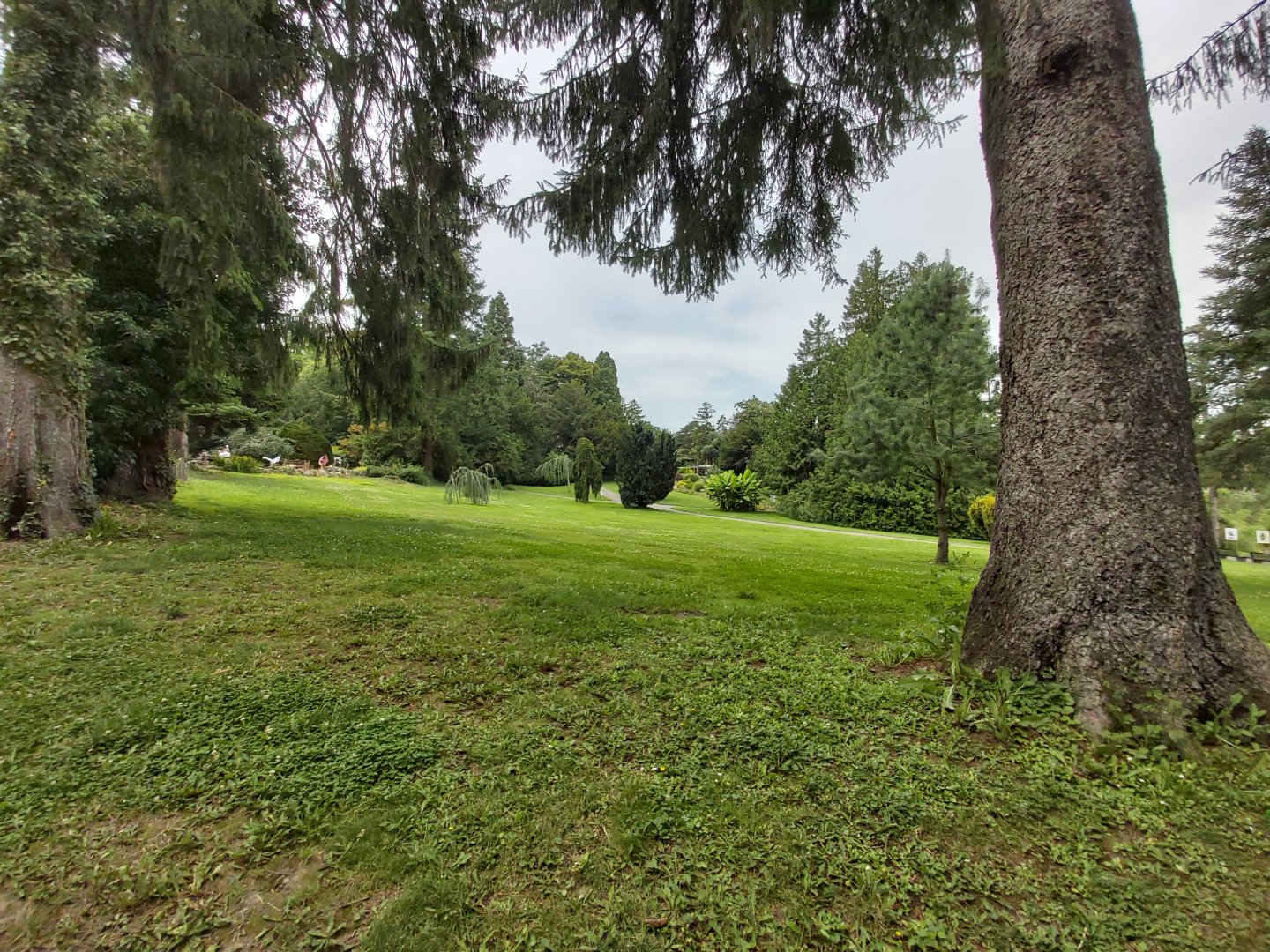 Overview of the botanical garden
