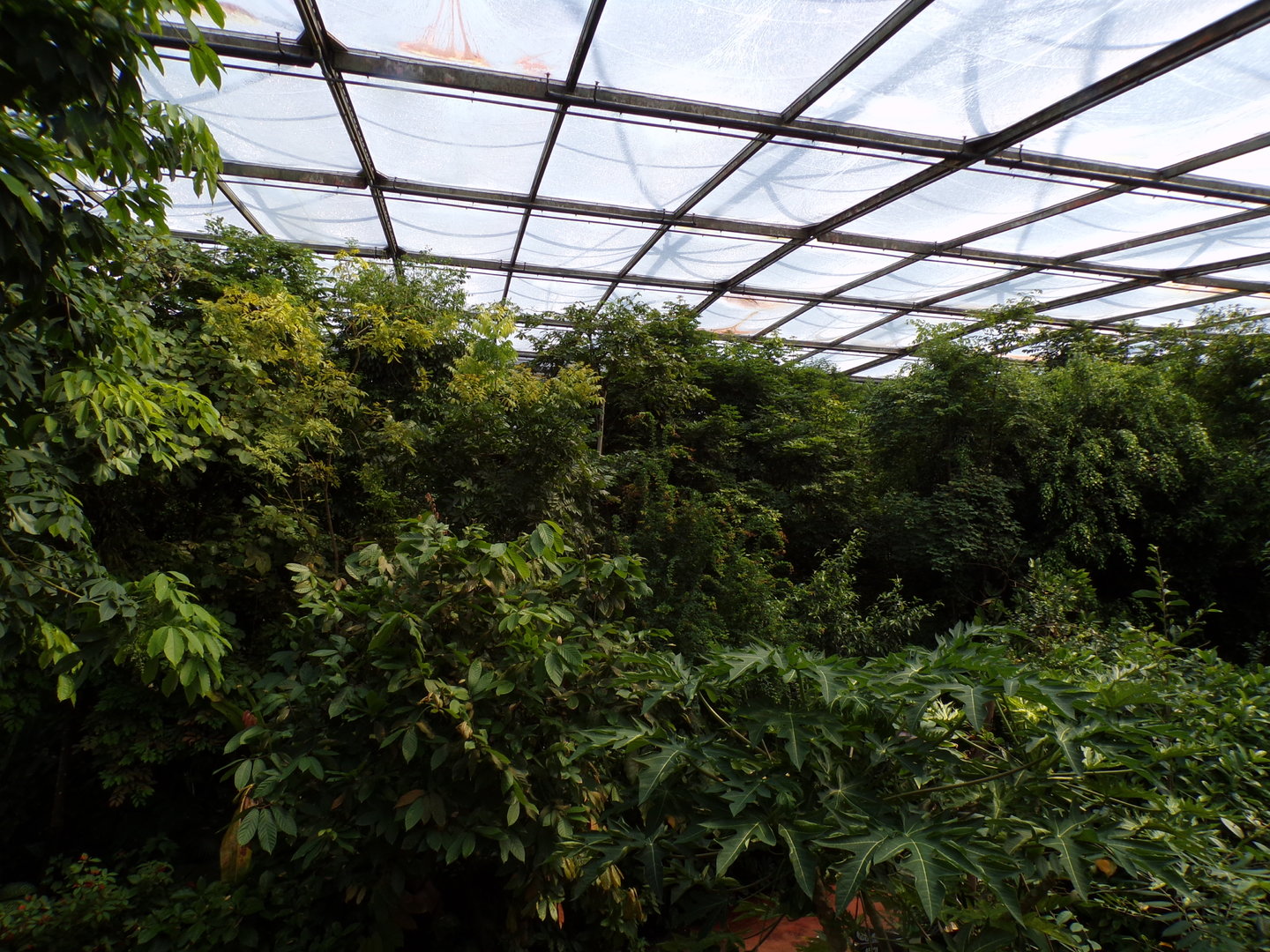 Overview of the Bush 6.7.23