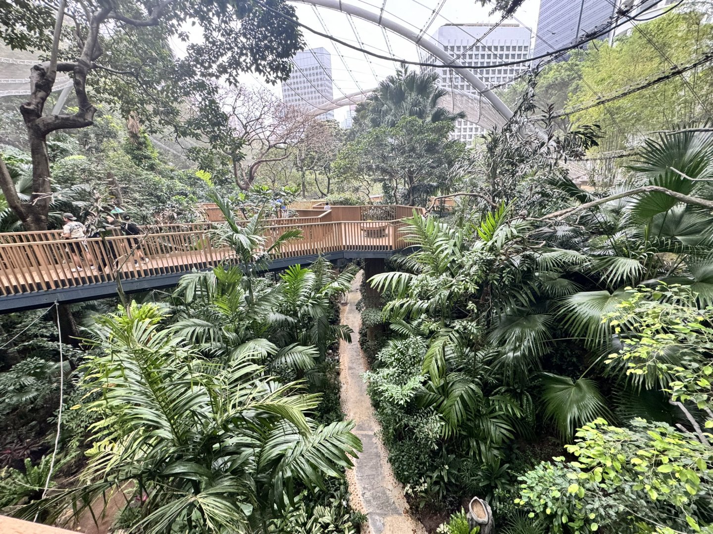 Overview of the Edward Youde Walkthrough Aviary
