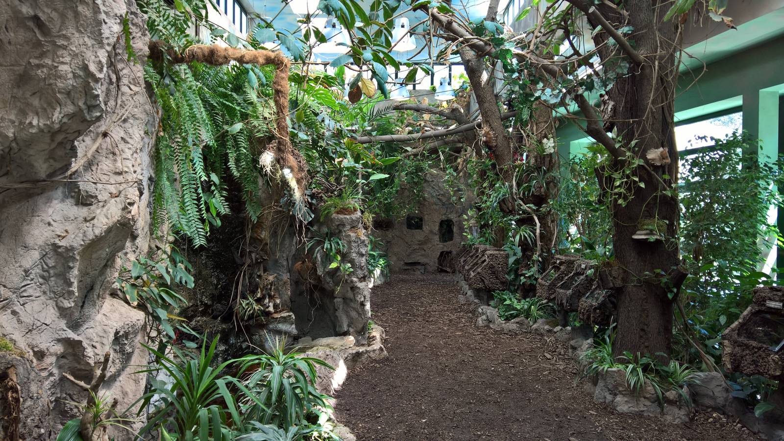 Overview of the insect house