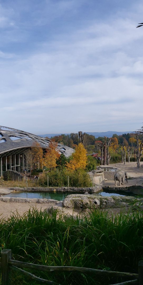 Overview of the Kaeng Krachan elephant park (October 2020)