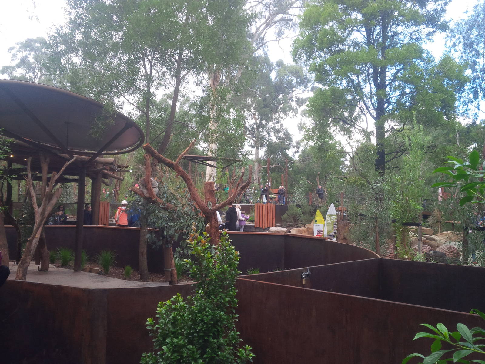Overview of the new Koala area